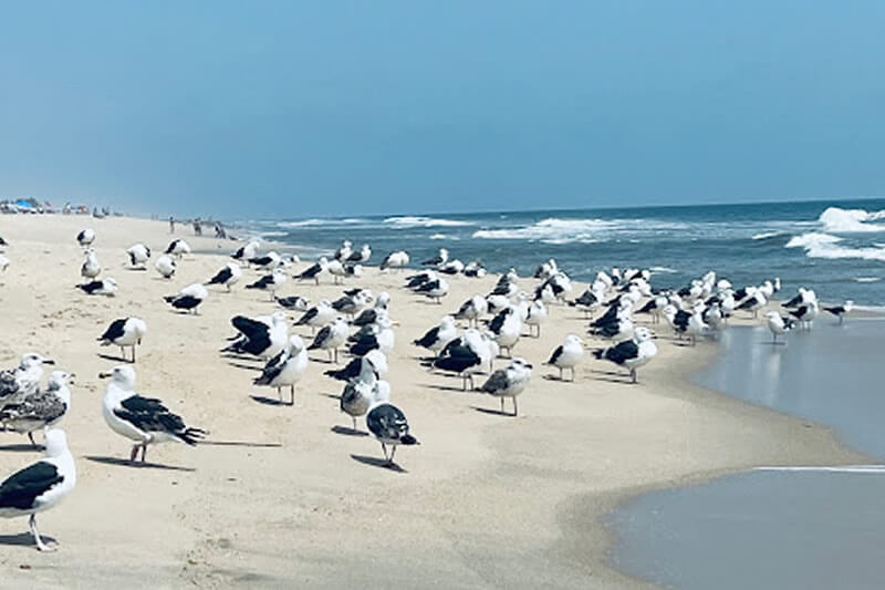 Monmouth Beach, New Jersey